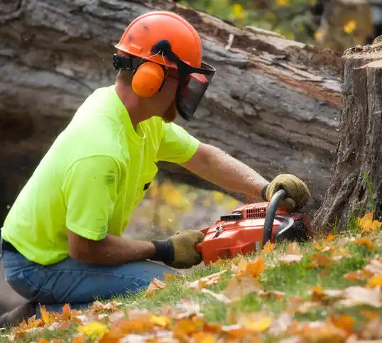 tree services Crandon Lakes